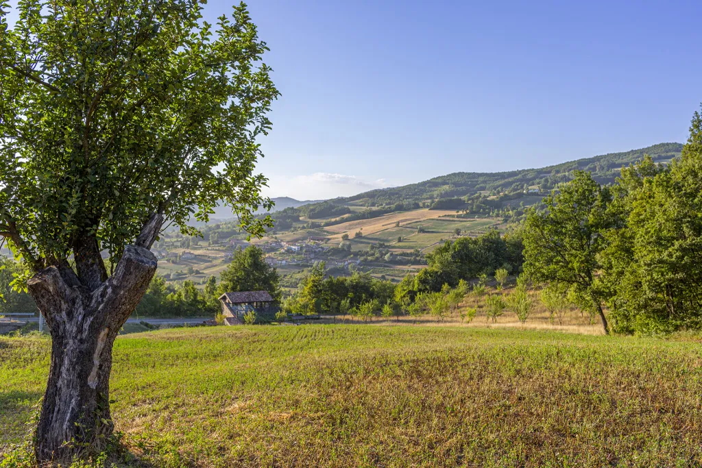 Immagine di alcuni dei prodotti Erberossi (marmellate, conserve, composte)